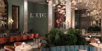 Refined interior of Louve Delhi featuring European architectural elegance and concealed Sonance invisible speakers.